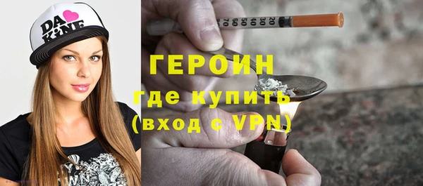 прущие грибы Новозыбков