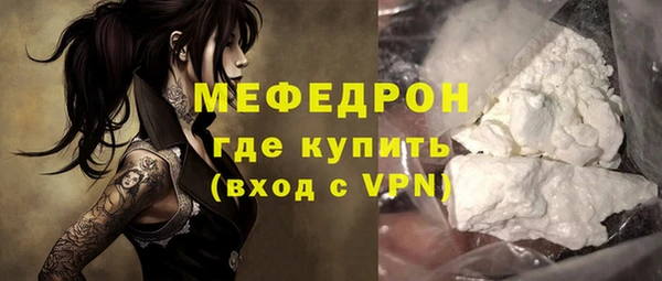 прущие грибы Новозыбков
