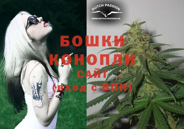 прущие грибы Новозыбков
