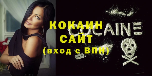 прущие грибы Новозыбков