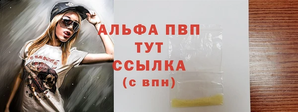 прущие грибы Новозыбков