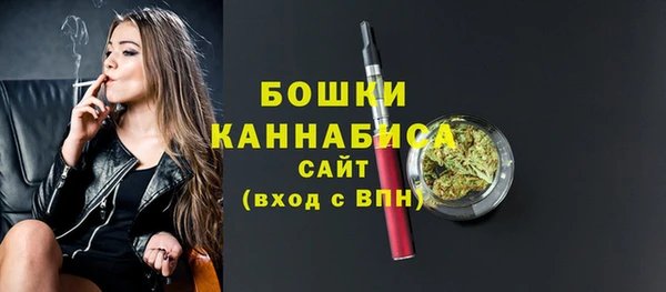 прущие грибы Новозыбков
