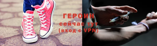 прущие грибы Новозыбков