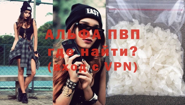 прущие грибы Новозыбков