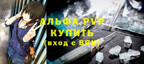 прущие грибы Новозыбков