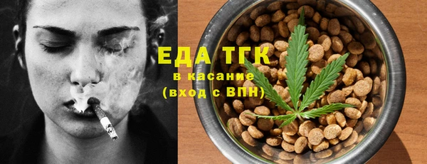 прущие грибы Новозыбков