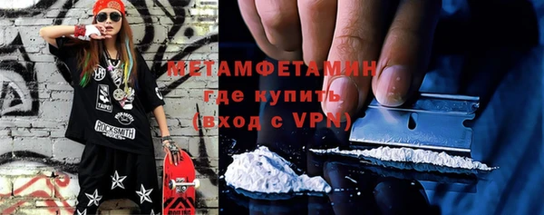 прущие грибы Новозыбков