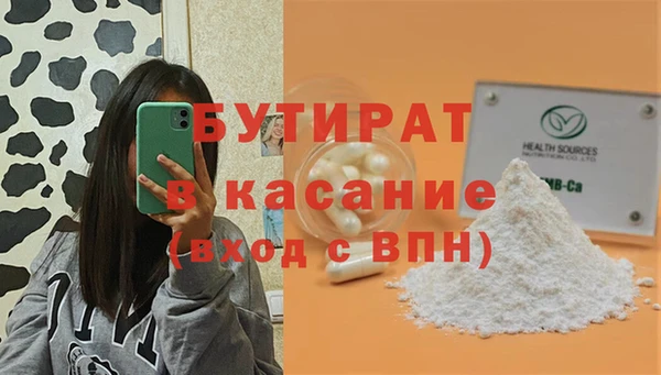 прущие грибы Новозыбков