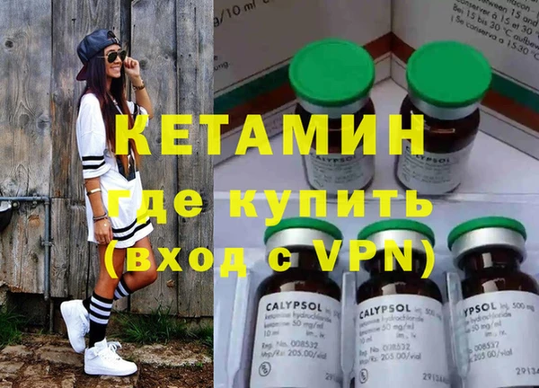 прущие грибы Новозыбков