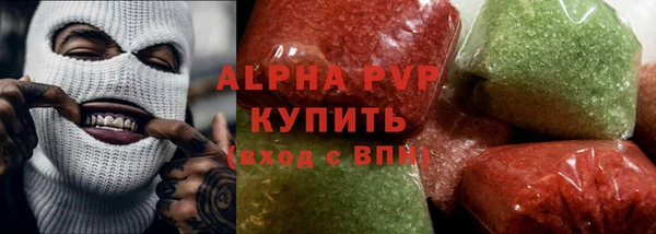 прущие грибы Новозыбков
