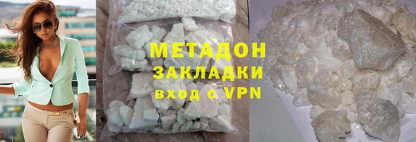 прущие грибы Новозыбков