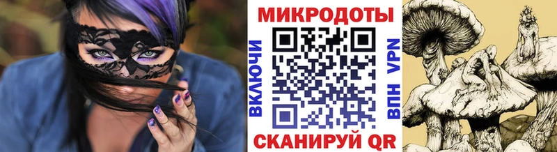 даркнет как зайти Якутск Галлюциногенные грибы MAGIC MUSHROOMS