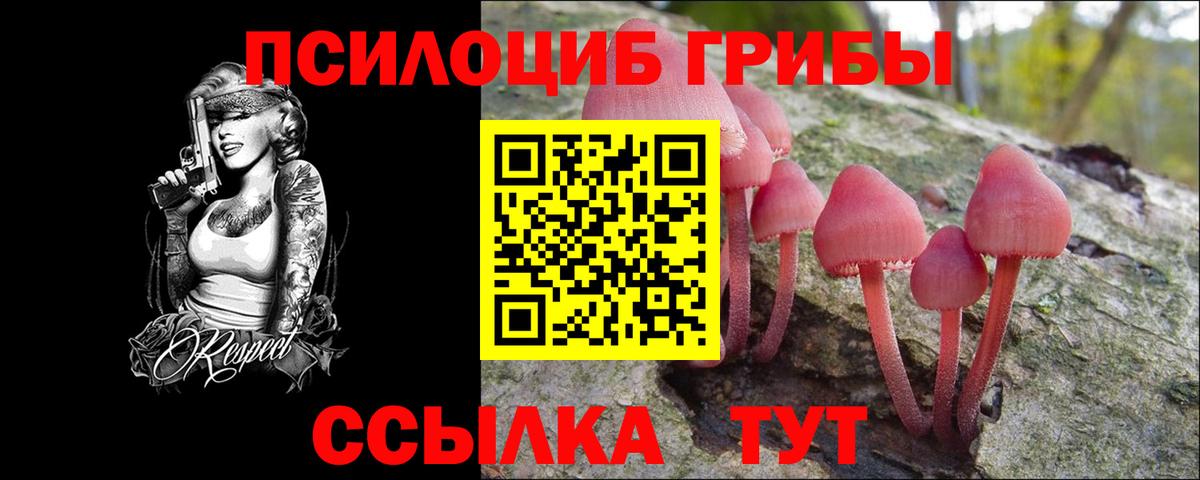 Якутск  Псилоцибиновые грибы мухоморы  Галлюциногенные грибы мицелий  Вход с VPN 
