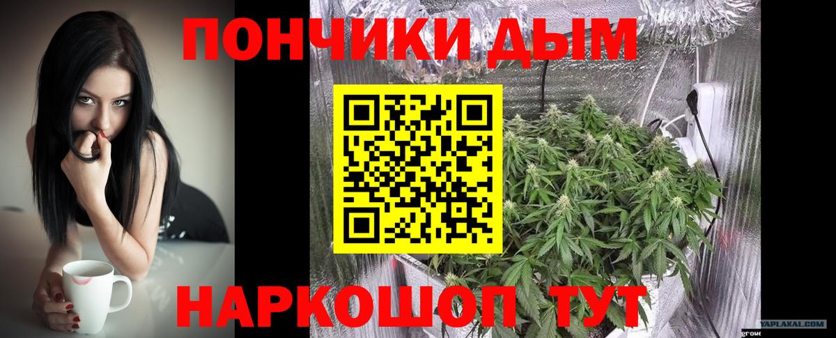 Бошки марихуана Ganja  Вход с VPN  Каннабис AK-47  Якутск  Бошки марихуана OG Kush 